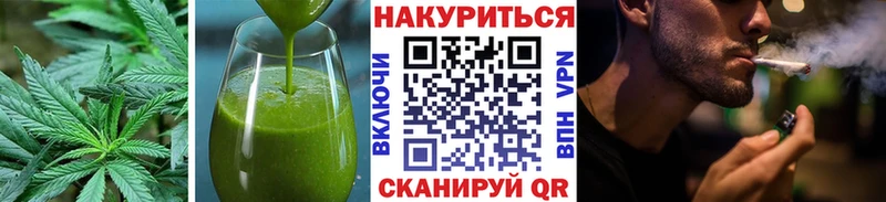 Cannafood конопля  Шумиха 